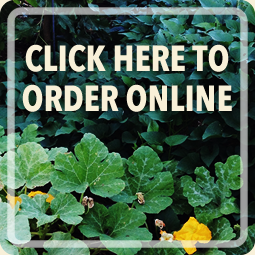 Click here to order Zakea Farmacy products online now!
